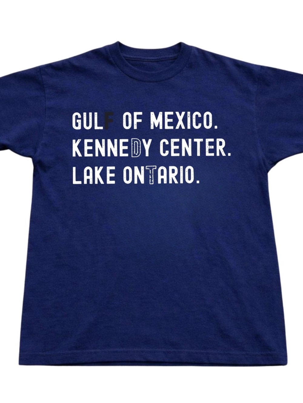 Gildan Navy Short Sleeve Graphic Tee with White Text, Gift For Her, For Him